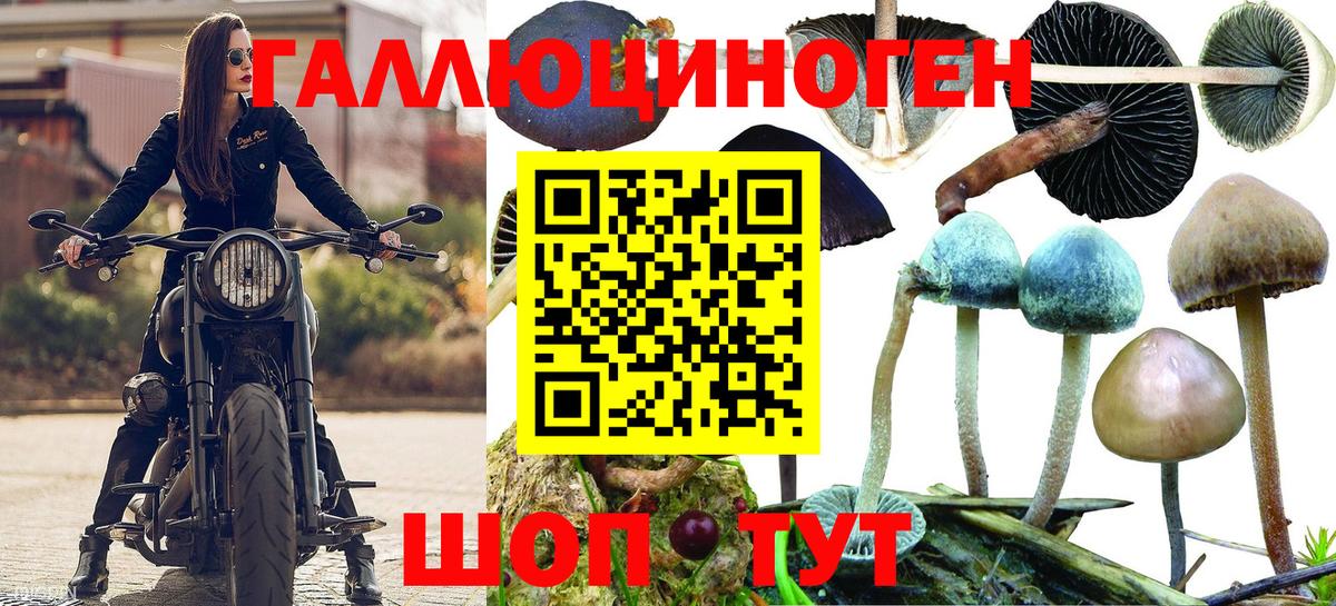 Галлюциногенные грибы ЛСД  Вход с VPN  Сосновый Бор 
