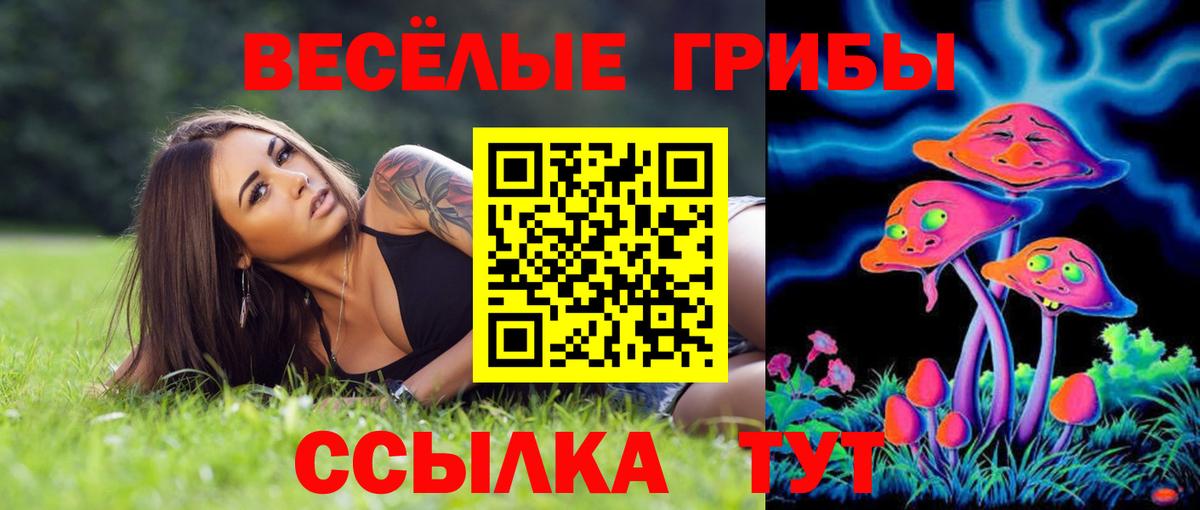 Галлюциногенные грибы мухоморы Сосновый Бор